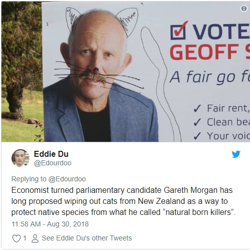 В Новой Зеландии решили запретить кошек: активисты назвали причину